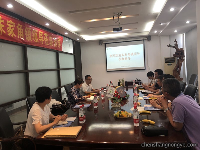 上海朱家角镇领导考察指导工作